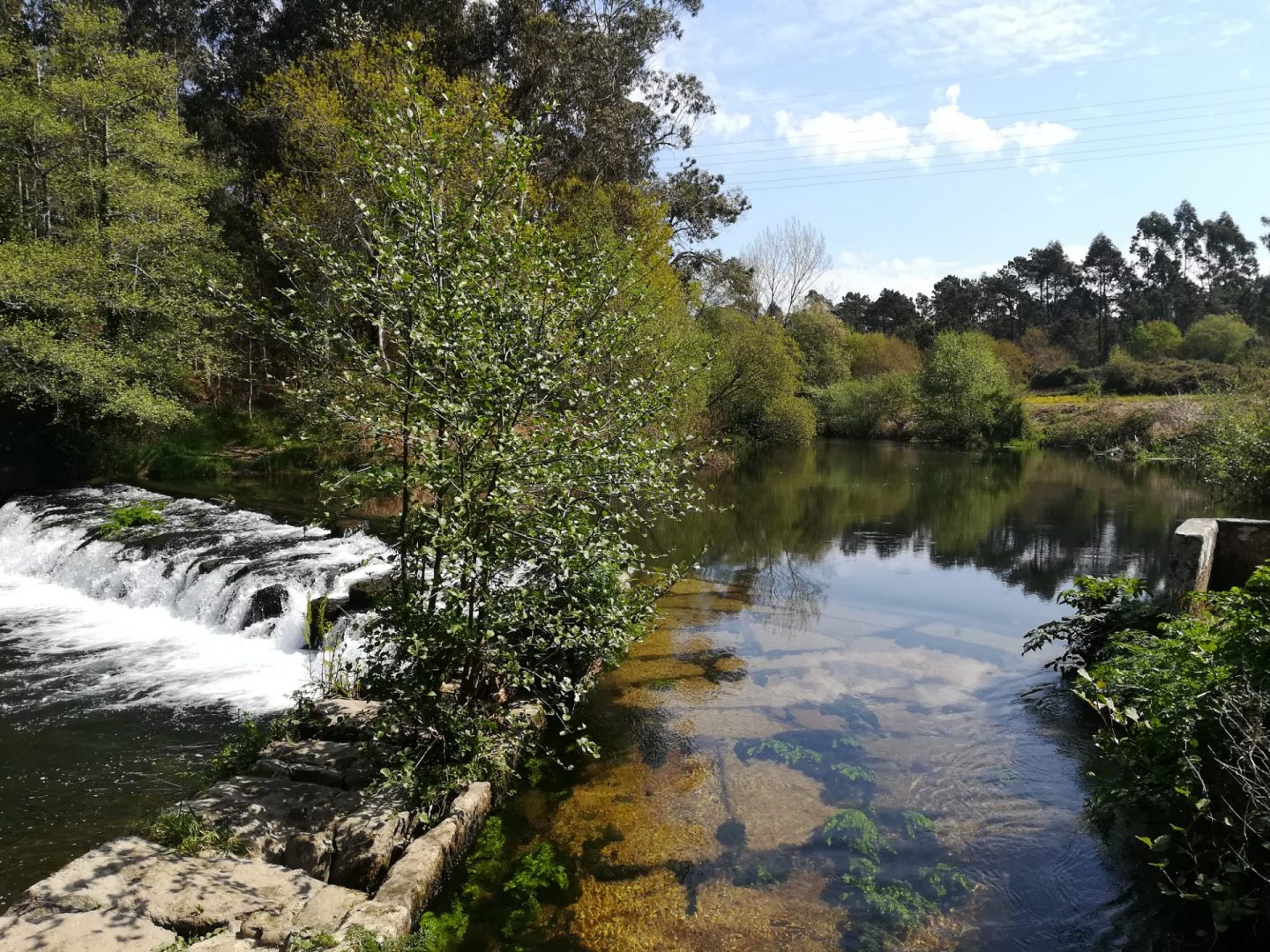 BioNeiva: na corrente do Rio Neiva